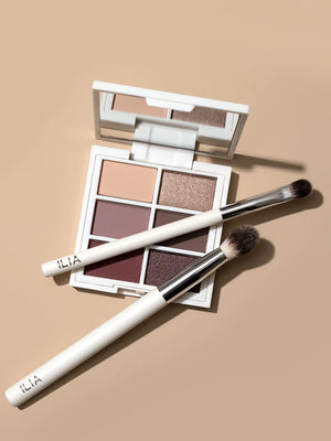 SHADOW BRUSH